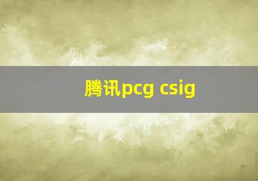 腾讯pcg csig